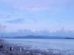 -深圳湾公园(南山区)