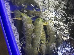 市场-班赞海鲜市场