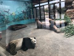 -石家庄市动物园