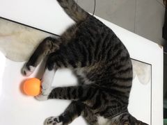 -川味轩火锅(仁和路店)