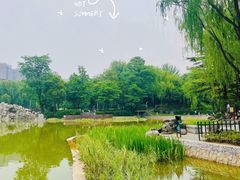 -西安市长乐公园