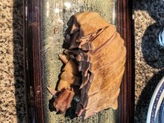 -南京大牌档(夫子庙老门东店)