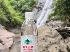 -大奇山国家森林公园