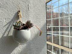 -三仟津花园咖啡馆