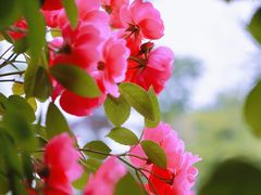 -广富林郊野公园