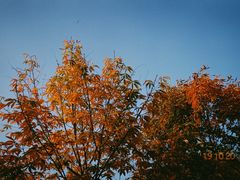 -幕燕滨江·长江观音景区