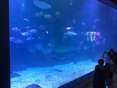 -福州罗源湾海洋世界旅游区