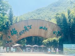 -紫藤园·天目湖大鱼头(南山竹海店)