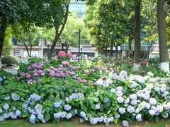 -常州古运河南大街文化旅游区-人民公园