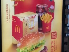 -麦当劳(桃仙机场到达层店)