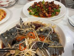 -煲来饱去冷水鱼