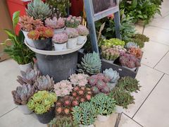 -花辰月夕花坊(北滨路店)