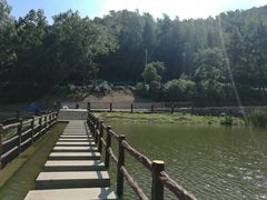 -梅岭月亮湾山体公园