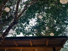 -云里小坐·小院里·团建·宴请·下午茶(三圣乡店)