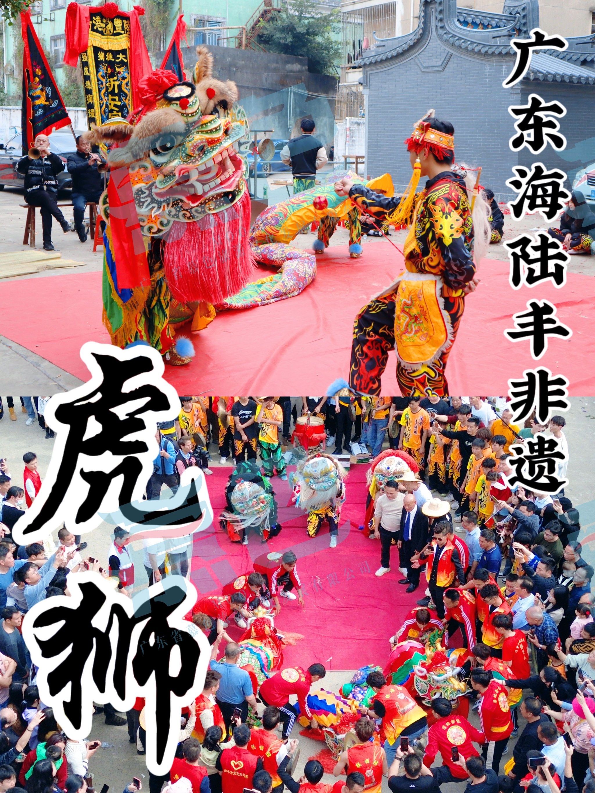 潮汕有英歌舞,那海陆丰就有"虎狮"