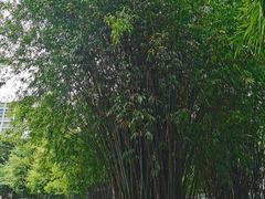 -晓港公园