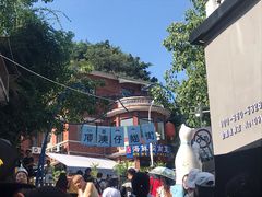 -猫咪博物馆(顶澳仔猫街店)