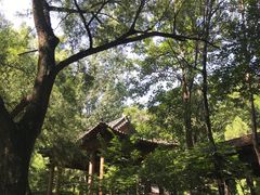 -井塘古村