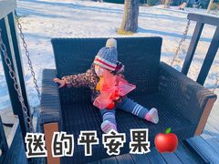 -禧宴Joyous Restaurant(禧园店)