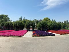 -上海杨姆庄园