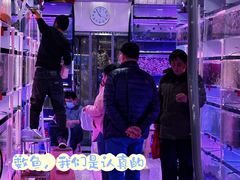 -中环花鸟鱼虫市场