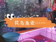 -山东柏宁水族批发广场