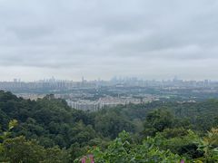 -火炉山森林公园