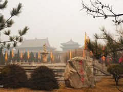 -大槐树寻根祭祖园