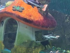 -梦幻海洋王国(吾悦广场张家港店)