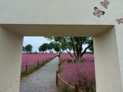 -汉长安城未央宫国家考古遗址公园