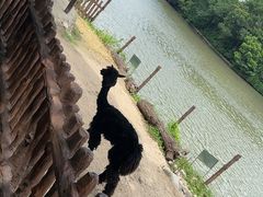 -上海野生动物园