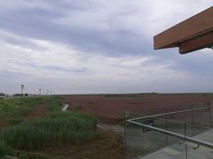 -红海滩国家风景廊道