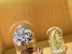 -左悦·艾灸调理·推拿按摩·精油SPA(卓悦汇店)