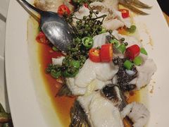 -客颂·客家宴(大壮国际广场店)