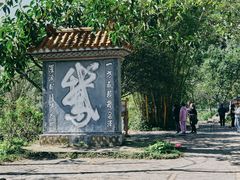 -靖西鹅泉风景区