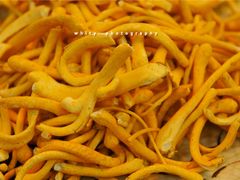 虫草花-棠宴酒店(汉口学院店)