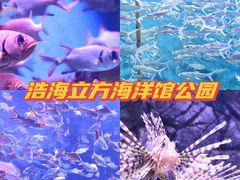 -成都浩海立方海洋公园