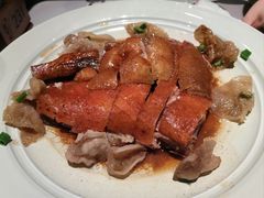 -新兴·金羊座·粤菜点心(乐峰店)