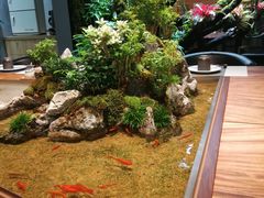 -森味薪火烧•烧鸟居酒屋•日本料理(望京店)