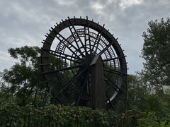 -溱湖国家湿地公园