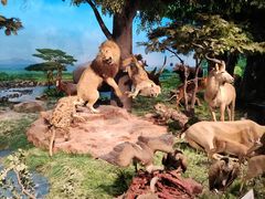 -国家自然博物馆