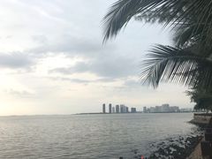 -万绿园