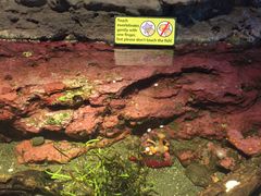 -西雅图水族馆