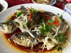 -张会海鲜饭店(东戴河店)