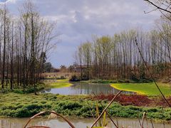 -桤木河湿地公园