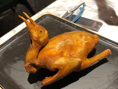 -大鸽饭(体育西路店)