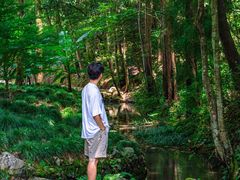 -灵栖洞天