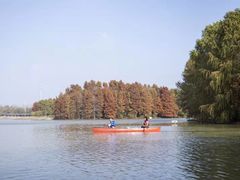 -上海海湾国家森林公园