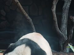 -济南野生动物世界