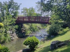 -羊山湖公园